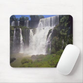 Argentinië; Igwazu; Igwazu Herfsten. Salto San Muismat (Met muis)