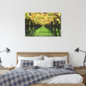 Argentinië, Mendoza, wijnstok Canvas Afdruk (Insitu (Slaapkamer))