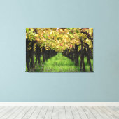 Argentinië, Mendoza, wijnstok Canvas Afdruk (Insitu (Houten vloer))