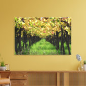 Argentinië, Mendoza, wijnstok Canvas Afdruk (Insitu (Woonkamer))