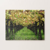 Argentinië, Mendoza, wijnstok Legpuzzel (Horizontaal)