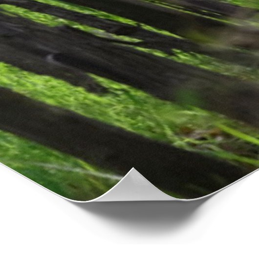 Argentinië, Mendoza, wijnstok Poster (Hoek)