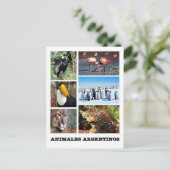 Argentinië - Mosaico Animales Argentinos Briefkaart (Staand voorkant)