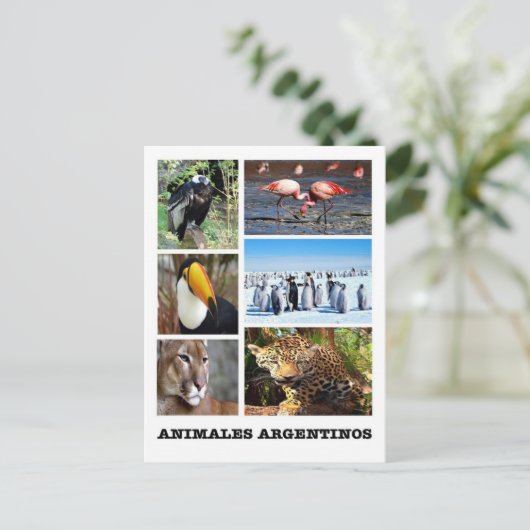 Argentinië - Mosaico Animales Argentinos Briefkaart (Staand voorkant)