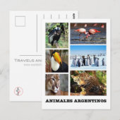 Argentinië - Mosaico Animales Argentinos Briefkaart (Voorkant / Achterkant)