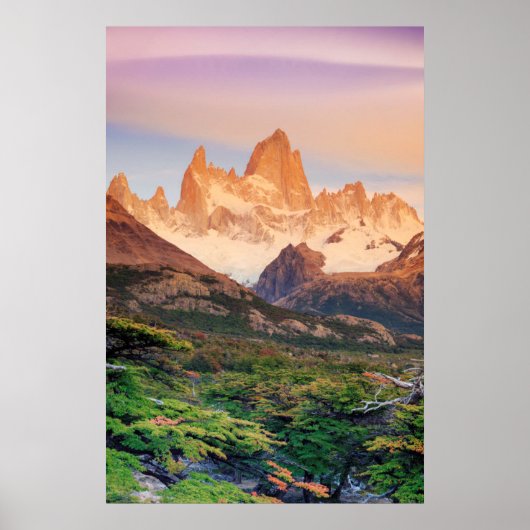 Argentinië, Patagonia, Los Glaciares National Park Poster (Voorkant)