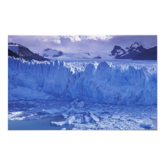 Argentinië, Patagonia, Parque Nacional los Foto Afdruk (Voorkant)