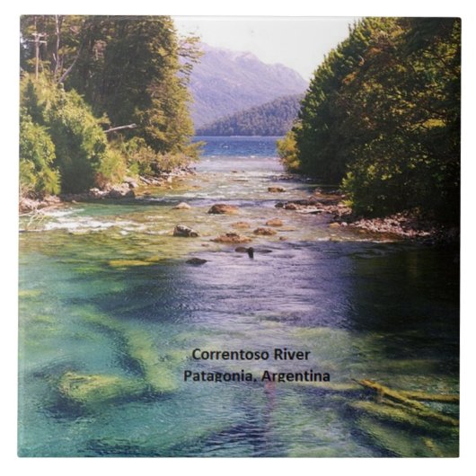 Argentinië, Patagonië Tegeltje (Voorkant)