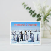 Argentinië - Pingüinos de la Antártida - Briefkaart (Staand voorkant)