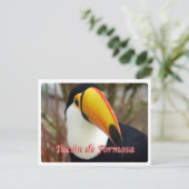 Argentinië - Tucán de Formosa - Briefkaart (Staand voorkant)