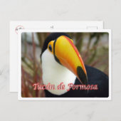 Argentinië - Tucán de Formosa - Briefkaart (Voorkant / Achterkant)