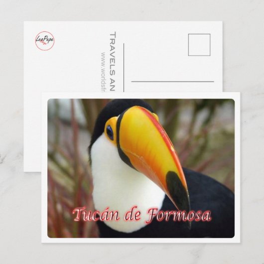 Argentinië - Tucán de Formosa - Briefkaart (Voorkant / Achterkant)