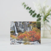 Argentinië - Waterval in het briefkaart Patagonia (Staand voorkant)