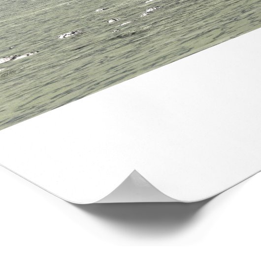 Argentinosaurus Poster (Hoek)