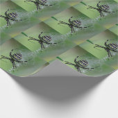 Argiope bruennichi cadeaupapier (Hoek)