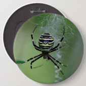 Argiope bruennichi ronde button 6,0 cm (Voorkant /achterkant)