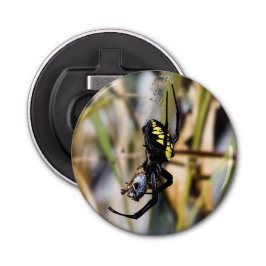 Argiope Garden Spider Magnet Backed Bottle Open Button Flesopener