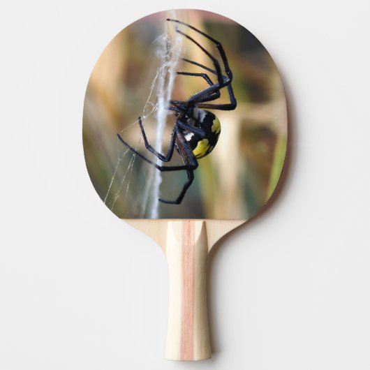 Argiope Garden Spider Ping Pong Paddle Tafeltennisbatje (Voorkant)