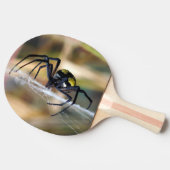 Argiope Garden Spider Ping Pong Paddle Tafeltennisbatje (Zijkant)