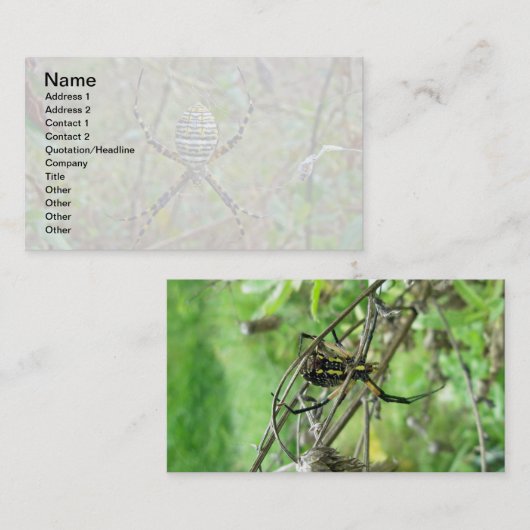 Argiope Orb Weaver Spiers Visitekaartje (Voorkant / Achterkant)