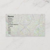 Argiope Orb Weaver Spiers Visitekaartje (Voorkant)