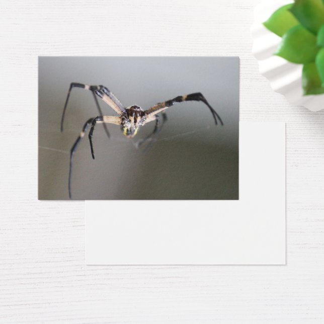 Argiope Spider Lover Gift Visitekaartje (Bureau)