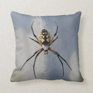 Argiope Spider pillow Kussen