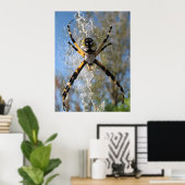 Argiope Spider Poster (Thuiskantoor)