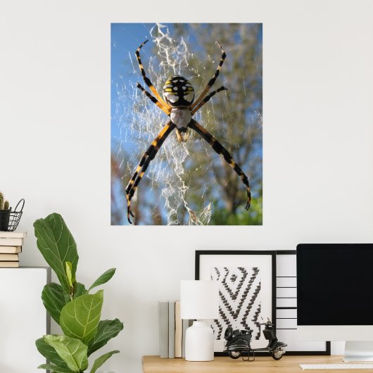 Argiope Spider Poster (Thuiskantoor)