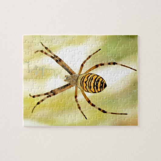 Argiope spin legpuzzel (Horizontaal)