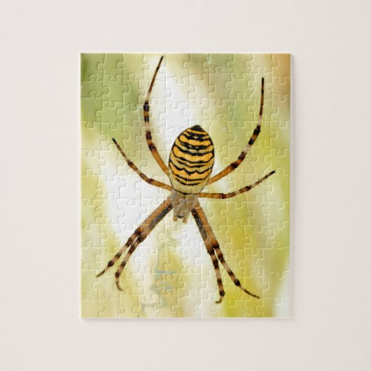 Argiope spin legpuzzel (Verticaal)