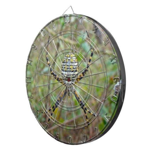 Argiope trifasciata Orb Weaver Spider Dartbord (Voorkant Rechts)