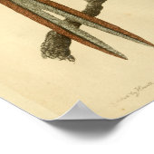 Argus Pheasant Natural History Druk vogel af Poster (Hoek)