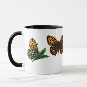 Argynnis aglaja mok