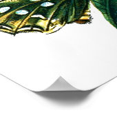 Argynnis aglaja poster (Hoek)