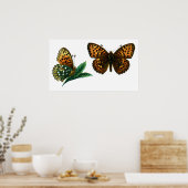 Argynnis aglaja poster (Keuken)