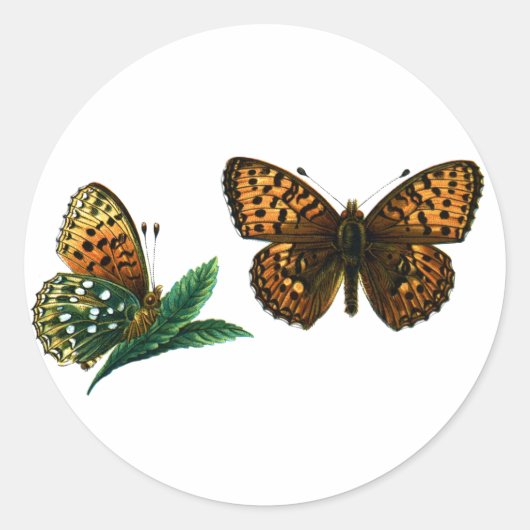 Argynnis aglaja ronde sticker (Voorkant)
