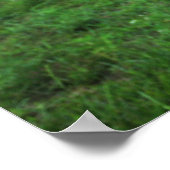 Aria Summer Poster (Hoek)