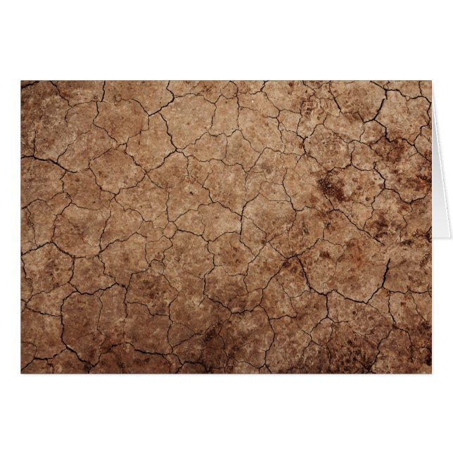 Arid Dry Cracked Earth (Voorkant Horizontaal)