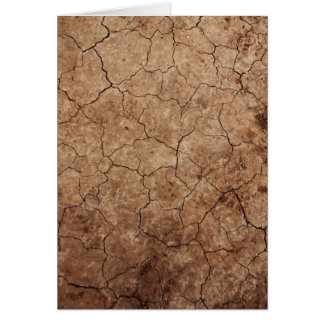 Arid Dry Cracked Earth