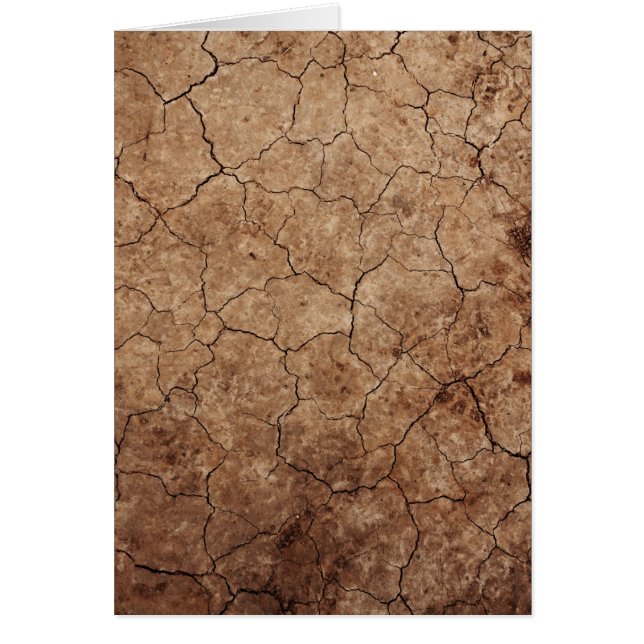 Arid Dry Cracked Earth (Voorkant)