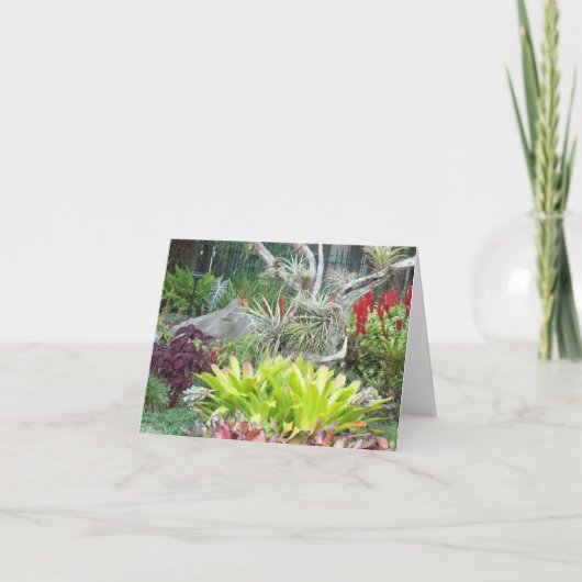 Arid Garden Photo Folded Note Kaart (Voorkant)