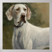 Ariege Pointer - Dog Portrait Poster (Voorkant)