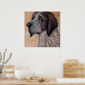 Ariegeois - Dog Portrait Poster (Keuken)