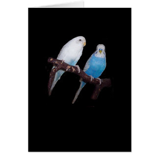 Ariel en Oscar budgie-kaart