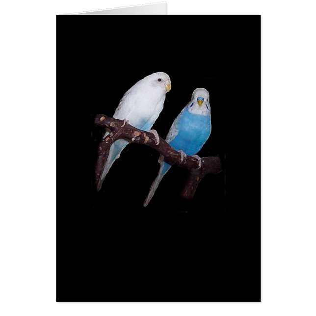 Ariel en Oscar budgie-kaart (Voorkant)