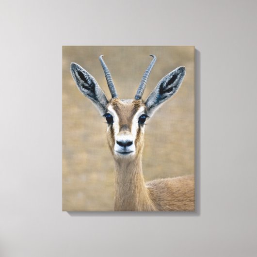 Ariel Ingepakt Canvas Print (Voorkant)