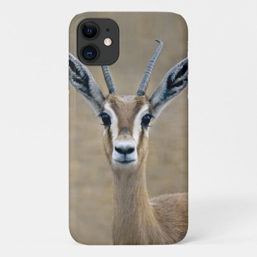 Ariel iPhone 11 Hoesje (Achterkant)