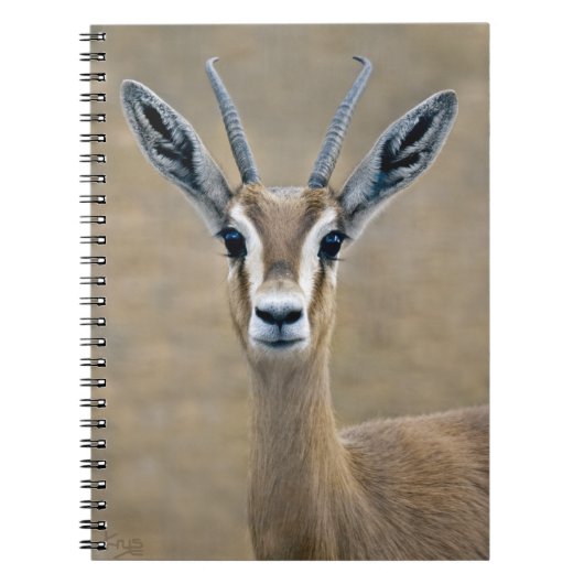 Ariel Notitieboek (Voorkant)