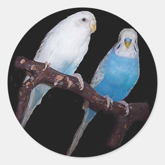 Ariel Oscar budgie stickers (Voorkant)